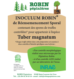Inoculum de réensemencement truffier Tuber Magnatum - Sac de 25 litres