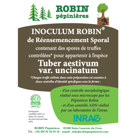Inoculum de réensemencement Tuber Uncinatum - Sac de 5 litres