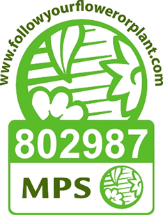 Robin Nurseries, un'azienda certificata MPS A+