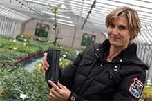 Choosing a Robin truffle plant is the assurance of choosing a certified quality plant