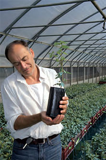 M. Emidio Angellozzi en visite aux pépinières Robin pour voir ses plants truffiers produits sous contrat de culture