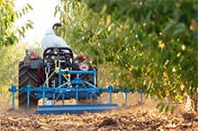 Un soin particulier est apporté au travail du sol de la truffière afin de favoriser l'activité biologique du sol et son aération