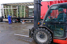 Un'intera gamma di logistica per garantire un servizio di consegna efficiente e veloce