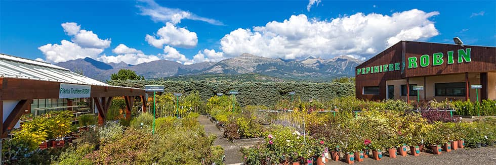 Robin Nurseries welcome you in Saint Laurent du Cros, in the heart of the Champsaur valley