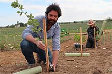 The long awaited step: the planting of the truffle plants