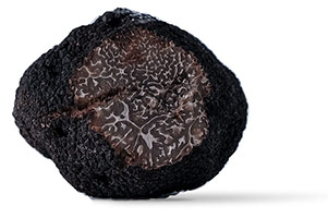 the black truffle and its black flesh marbled with white