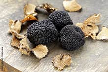 Tuber melanosporum, le diamant noir de la gastronomie