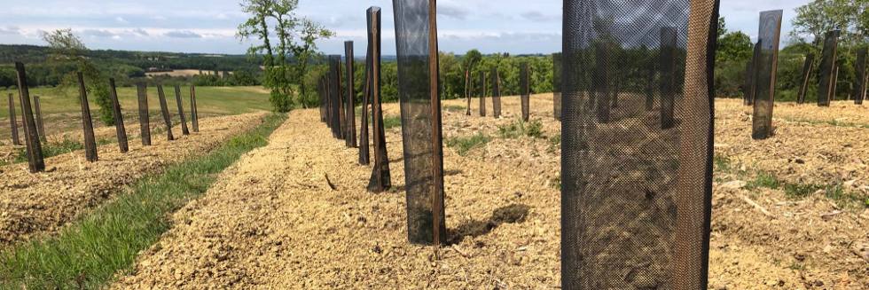 Les pépinières ROBIN mènent différents travaux visant à favoriser la reforestation des milieux difficiles Les pépinières ROBIN mènent différents travaux visant à favoriser la reforestation des milieux difficiles