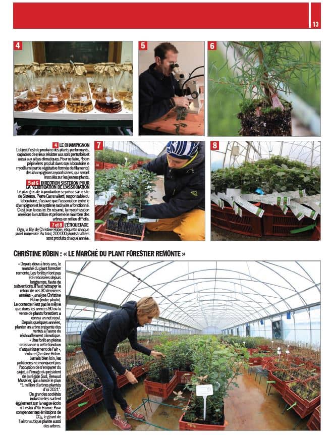 Page 2 article du DL dans les coulisse de la production des plants truffiers Robin