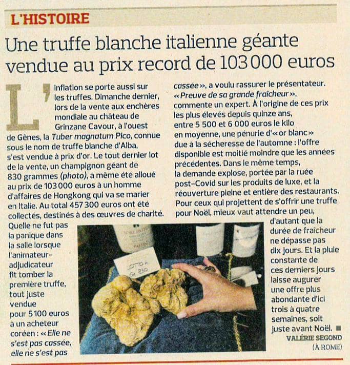 press article on the auction of a white truffle