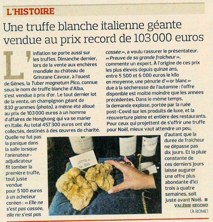 article de presse sur la vente aux enchères d'une truffe blanche