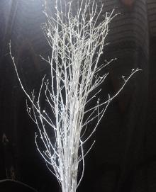 Bunch of birch branches painted with glitter