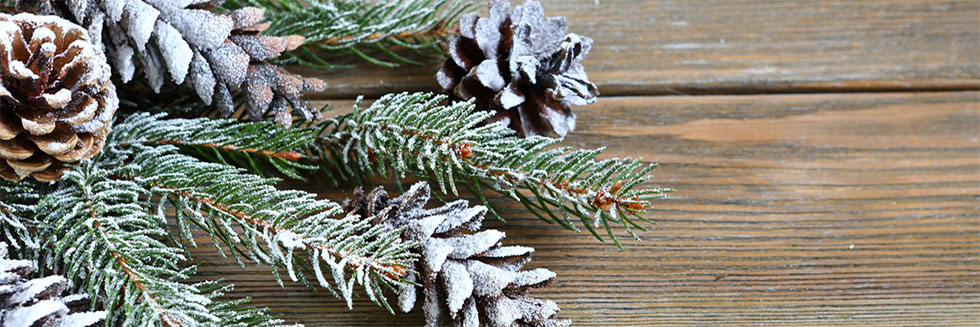Robin Vivai offre una varietà di elementi decorativi natalizi, tutti realizzati con abeti naturali.