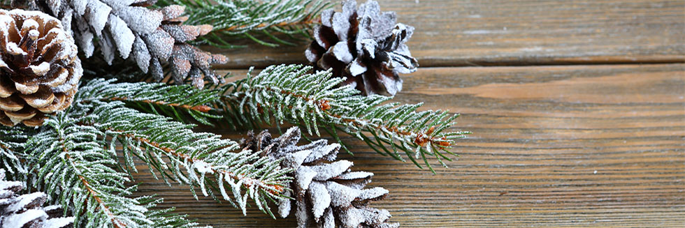 Robin Pépinières propose une variété d'éléments décoratifs de noël tous réalisés à partir de sapins naturels