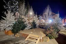 A podium embellished with decorative Christmas trees ROBIN