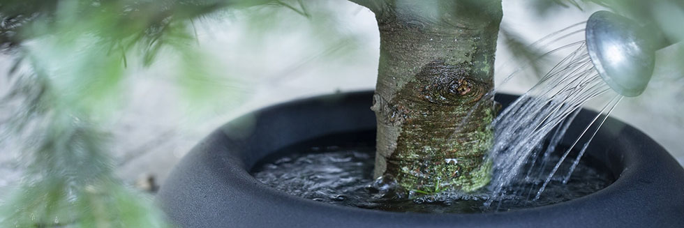Un sapin de noël bien hydraté grâce à son support à réserve d'eau intégrée