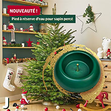 A base to keep your Christmas tree in place and fresh