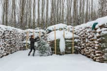 Piattaforma di preparazione dell'albero di Natale di Robin sotto la neve
