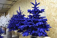 Flocking and glazing of Christmas trees are available in several colors