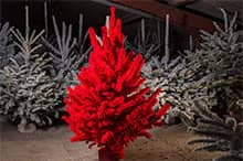 Che ne dite di un albero di Natale interamente addobbato di rosso?