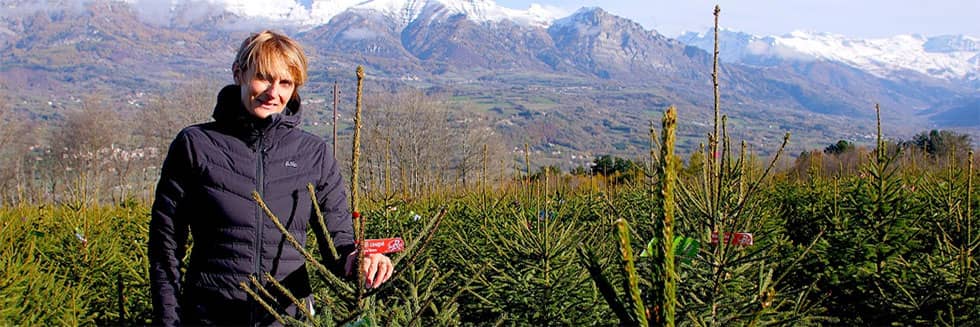 Robin Pépinières, producteur de sapins de noel depuis 1948