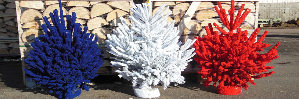 Robin Vivai offre un'ampia gamma di alberi di Natale decorativi
