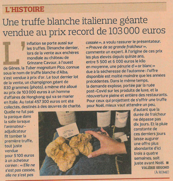 Une truffe blanche italienne géante vendue au prix record de 103 000 €