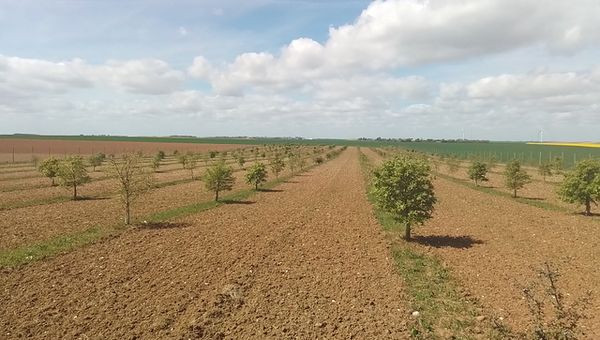 M. Christophe Sevin de Sougy (45)