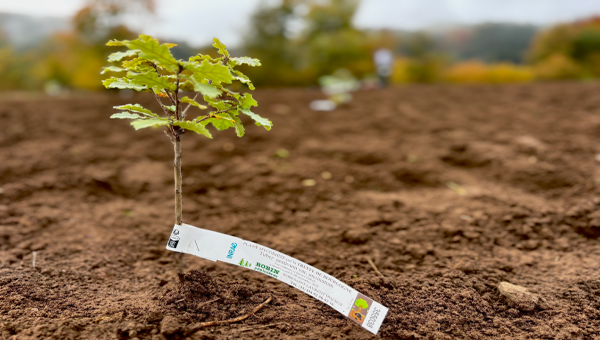 Témoignage de Mme Melcher  en Allemagne