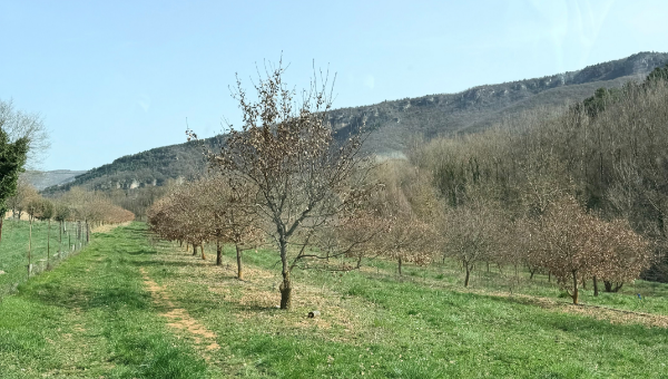 Témoignage de Monsieur Jean-Paul L (Aveyron)