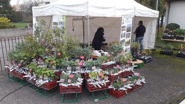 Fete De La Truffe De Pulnoy 54