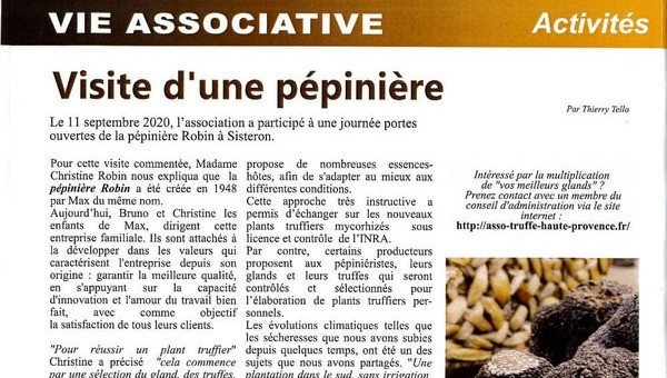 Les truffes en Provence