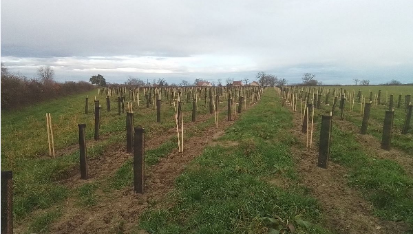 Témoignage de la société LE PAL sur l’Allier (03)